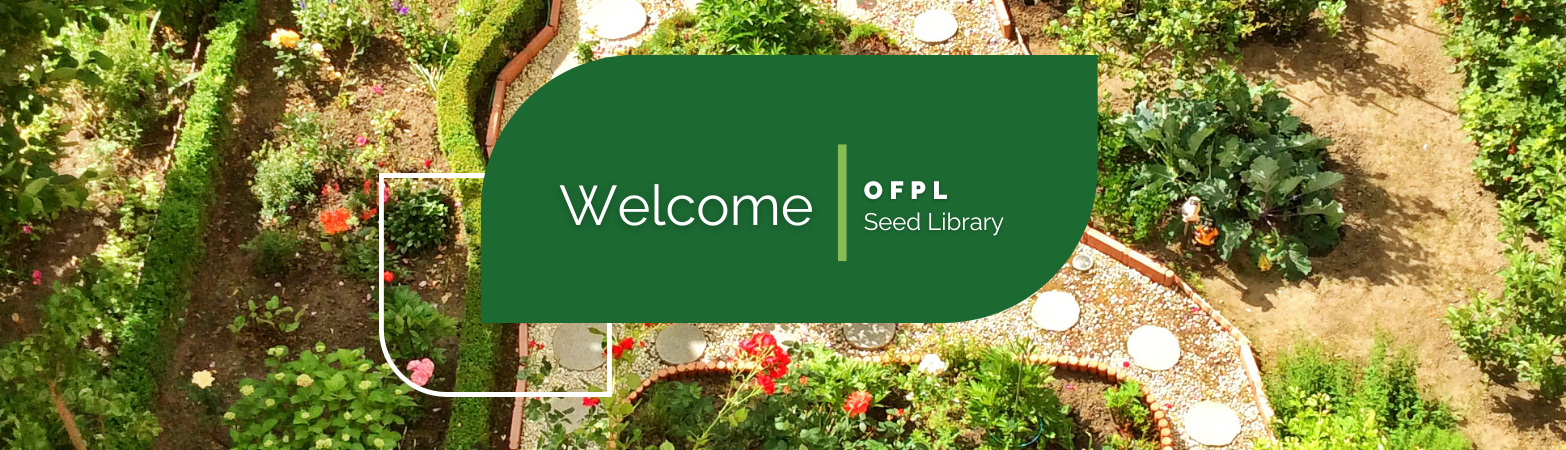 Welcome | Seed Library