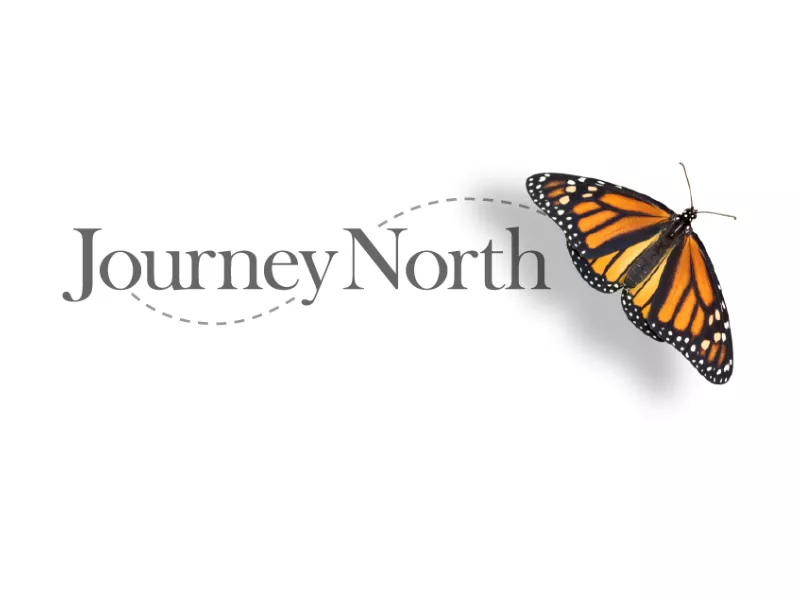Journey North Logo with Butterfly