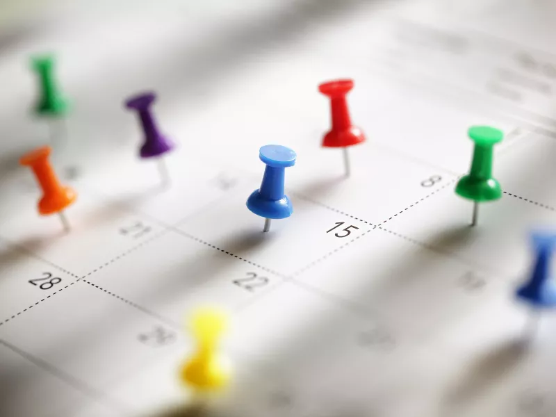 monthly calendar with pushpins