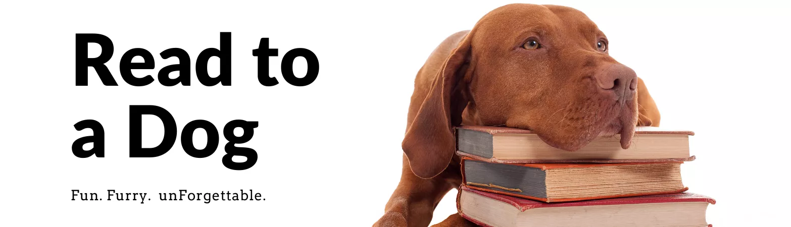 dog resting head on stack of books