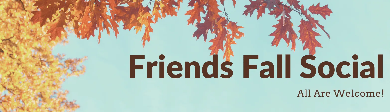 friends